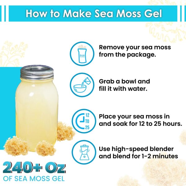 Blonde Sea Moss