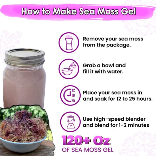Purple Sea Moss