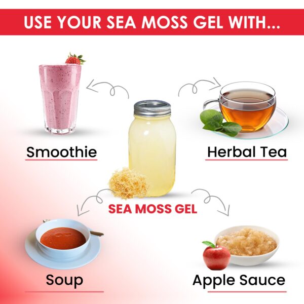 Peruvian Sea Moss