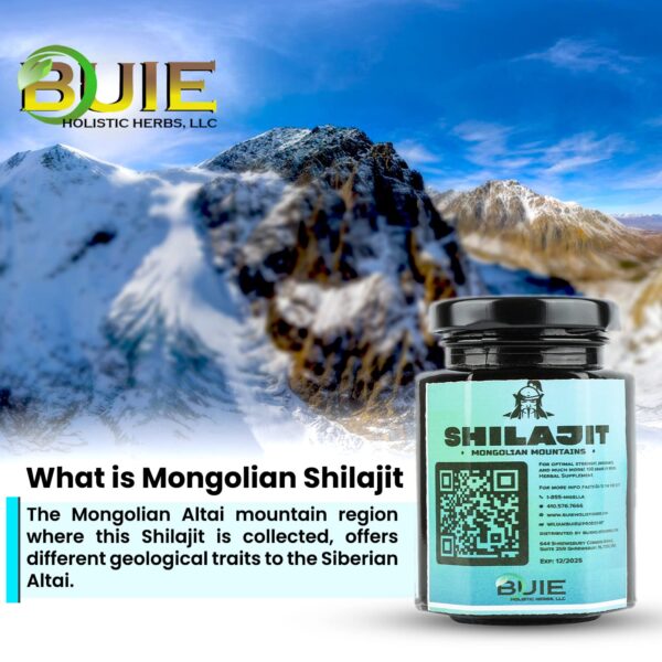 Authentic Mongolian Shilajit