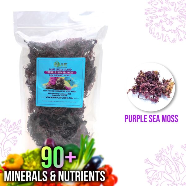 Purple Sea Moss
