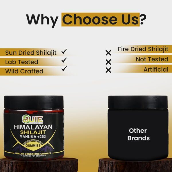 Himalayan Shilajit Gummiess