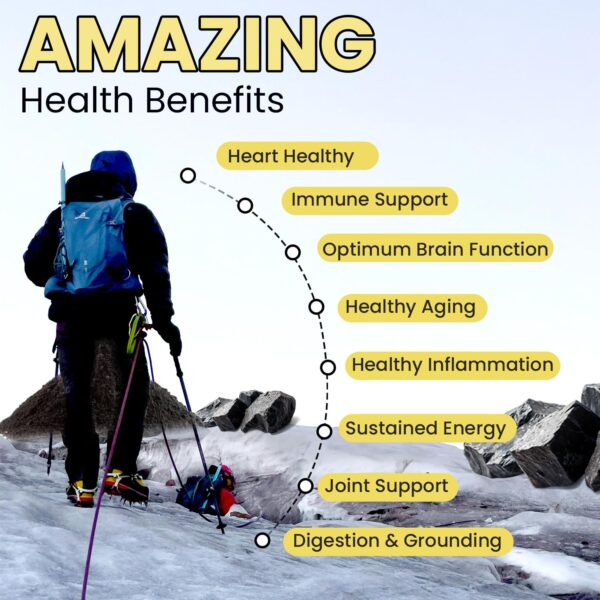 Himalayan Shilajit Gummiess