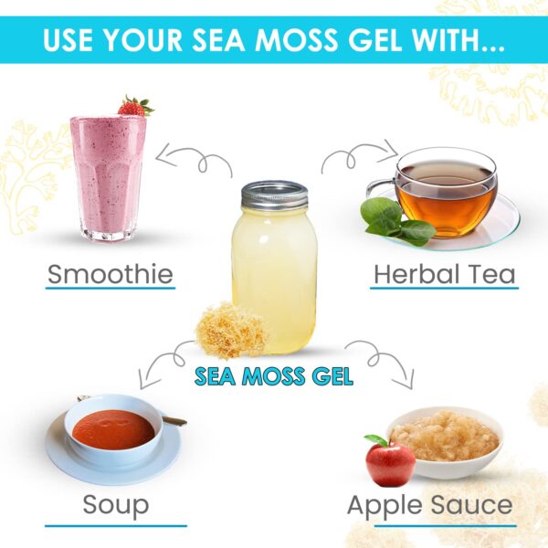 Blonde Sea Moss