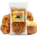 Blonde Sea Moss
